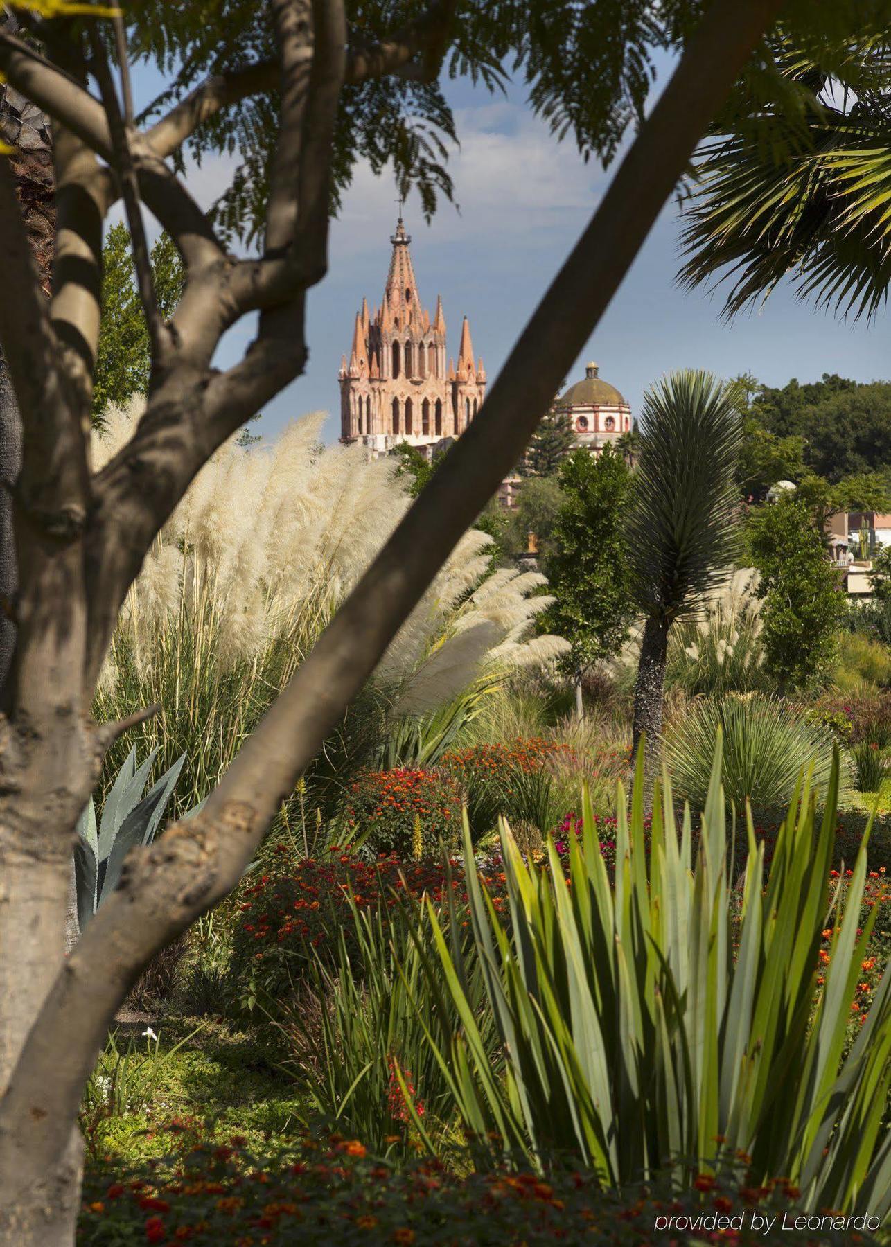 Hotel Rosewood San Miguel San Miguel de Allende Esterno foto